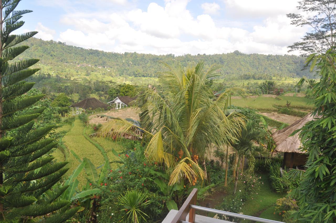 Villa Shantiasa Bali Sidemen  Exterior foto